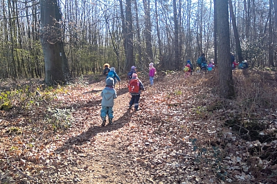 Waldtag